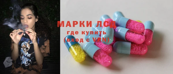 индика Алзамай