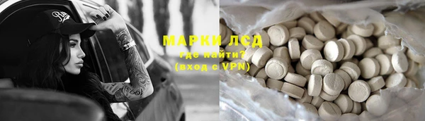 ГАЛЛЮЦИНОГЕННЫЕ ГРИБЫ Алексин