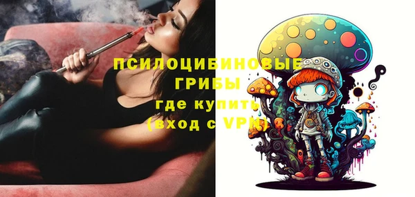 ГАЛЛЮЦИНОГЕННЫЕ ГРИБЫ Алексин