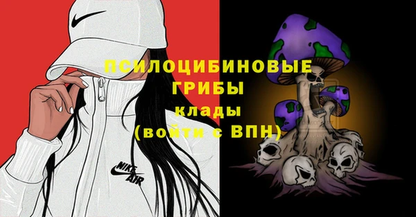 ГАЛЛЮЦИНОГЕННЫЕ ГРИБЫ Алексин